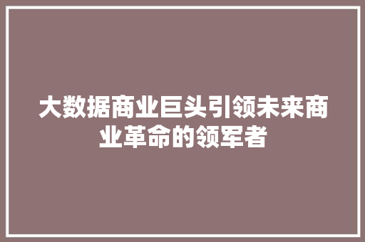 大数据商业巨头引领未来商业革命的领军者