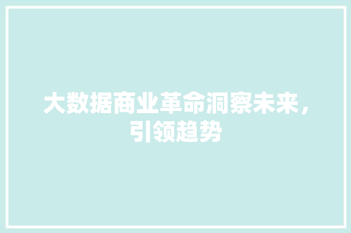 大数据商业革命洞察未来，引领趋势