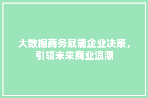 大数据商务赋能企业决策，引领未来商业浪潮  第1张
