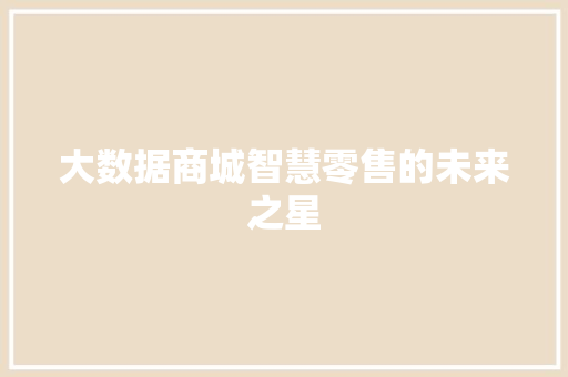 大数据商城智慧零售的未来之星