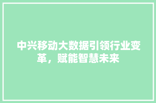 中兴移动大数据引领行业变革，赋能智慧未来