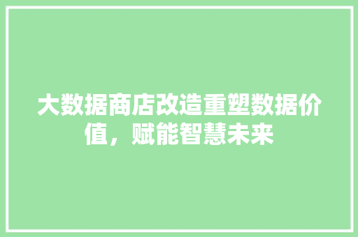 大数据商店改造重塑数据价值，赋能智慧未来