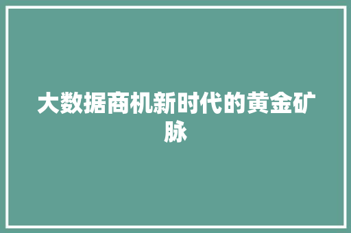大数据商机新时代的黄金矿脉