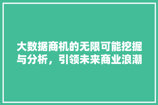 大数据商机的无限可能挖掘与分析，引领未来商业浪潮