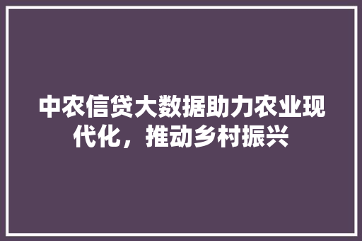 中农信贷大数据助力农业现代化，推动乡村振兴