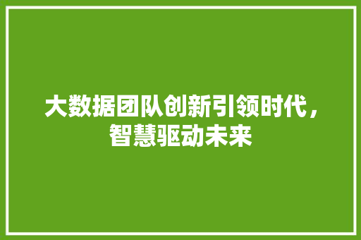 大数据团队创新引领时代，智慧驱动未来