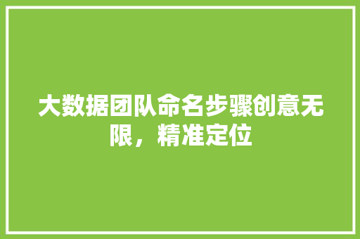 大数据团队命名步骤创意无限，精准定位