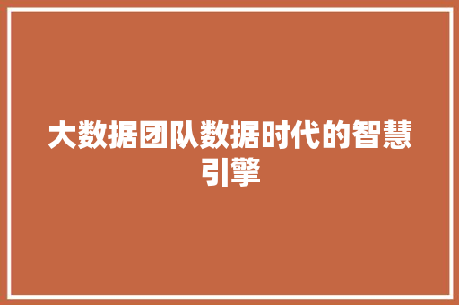 大数据团队数据时代的智慧引擎