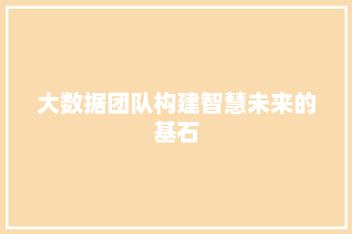 大数据团队构建智慧未来的基石