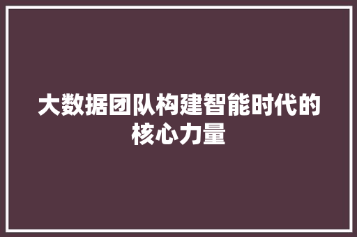 大数据团队构建智能时代的核心力量