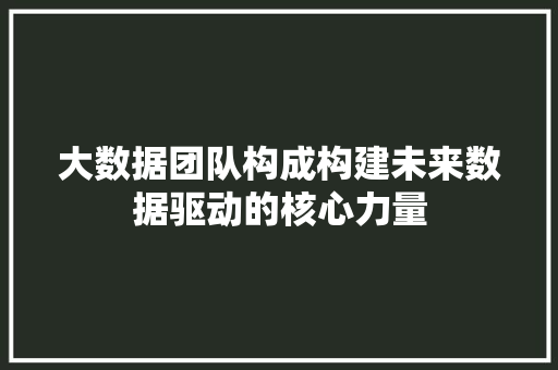 大数据团队构成构建未来数据驱动的核心力量