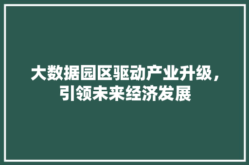 大数据园区驱动产业升级，引领未来经济发展