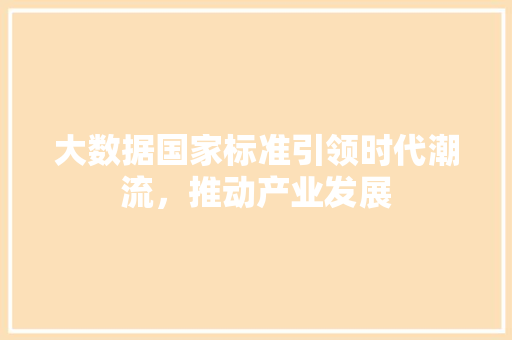 大数据国家标准引领时代潮流，推动产业发展