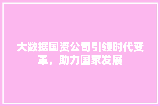 大数据国资公司引领时代变革，助力国家发展