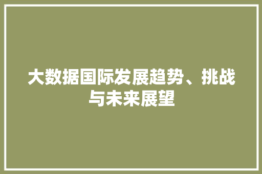 大数据国际发展趋势、挑战与未来展望