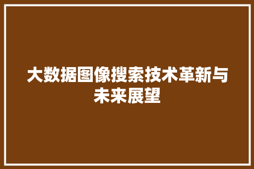 大数据图像搜索技术革新与未来展望  第1张