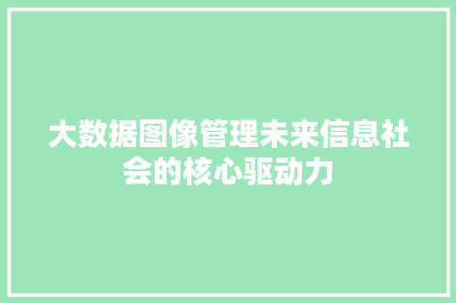 大数据图像管理未来信息社会的核心驱动力  第1张