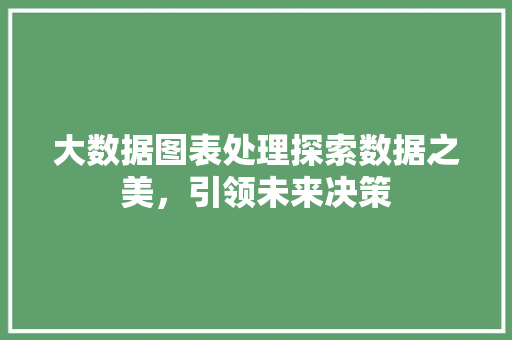 大数据图表处理探索数据之美，引领未来决策