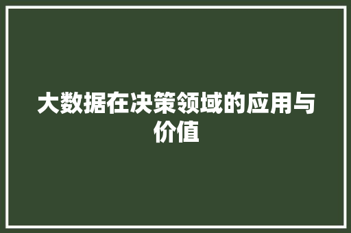 大数据在决策领域的应用与价值