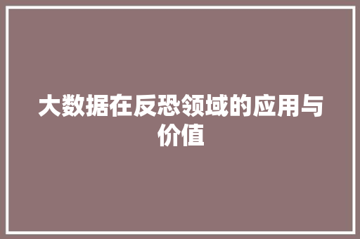 大数据在反恐领域的应用与价值