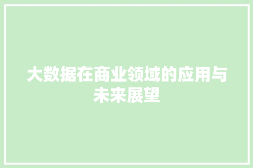 大数据在商业领域的应用与未来展望