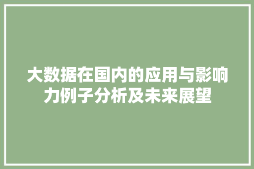 大数据在国内的应用与影响力例子分析及未来展望