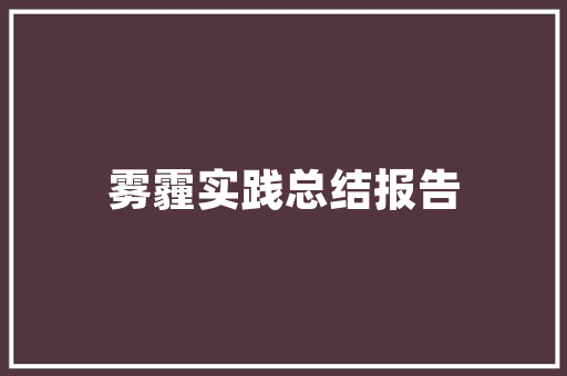 大数据在政治领域的应用与发展机遇与挑战并存