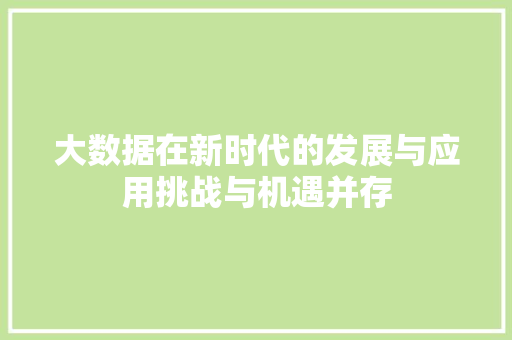 大数据在新时代的发展与应用挑战与机遇并存