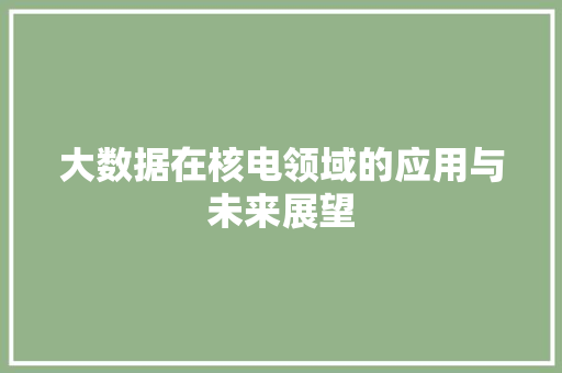 大数据在核电领域的应用与未来展望