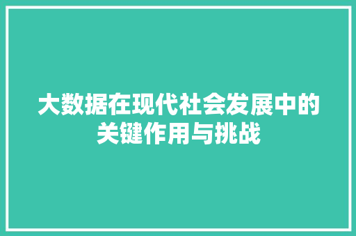 大数据在现代社会发展中的关键作用与挑战