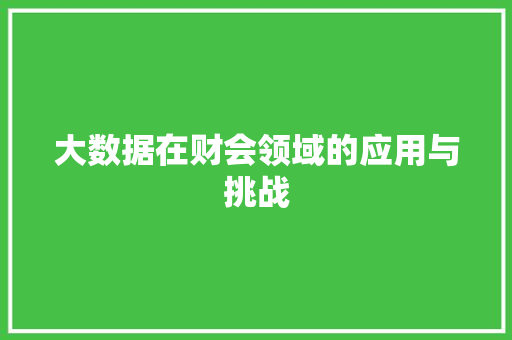 大数据在财会领域的应用与挑战