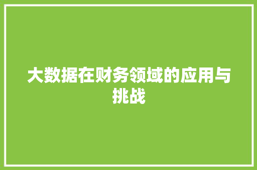 大数据在财务领域的应用与挑战
