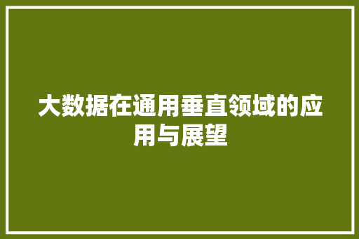 大数据在通用垂直领域的应用与展望