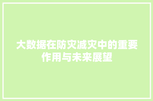 大数据在防灾减灾中的重要作用与未来展望