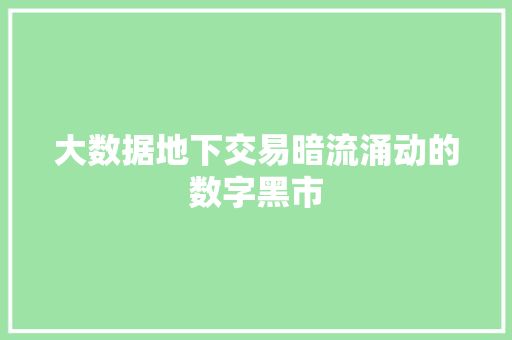 大数据地下交易暗流涌动的数字黑市