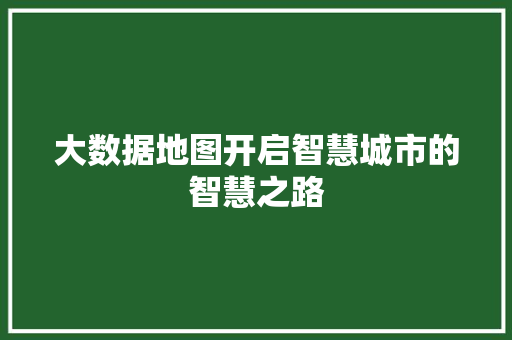 大数据地图开启智慧城市的智慧之路