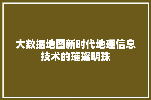 大数据地图新时代地理信息技术的璀璨明珠