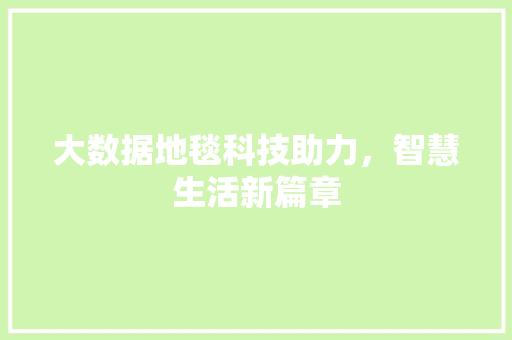 大数据地毯科技助力，智慧生活新篇章