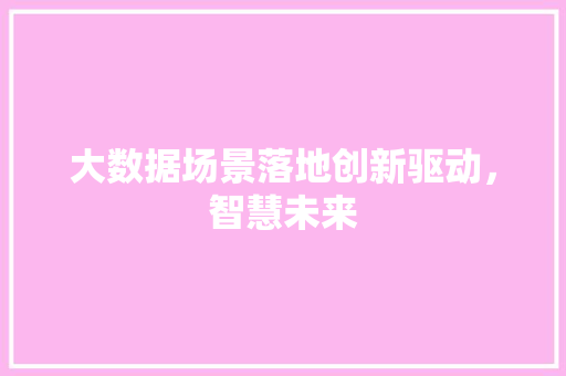 大数据场景落地创新驱动，智慧未来
