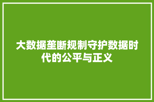 大数据垄断规制守护数据时代的公平与正义  第1张