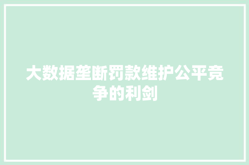 大数据垄断罚款维护公平竞争的利剑