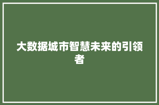 大数据城市智慧未来的引领者  第1张