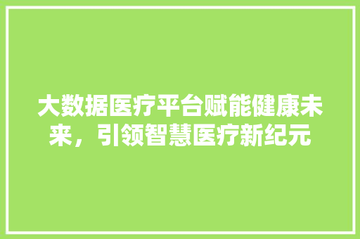 大数据医疗平台赋能健康未来，引领智慧医疗新纪元
