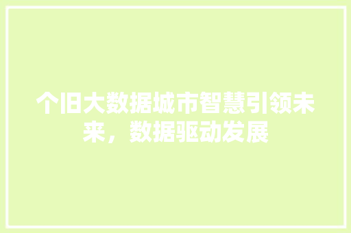 个旧大数据城市智慧引领未来，数据驱动发展