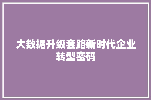 大数据升级套路新时代企业转型密码
