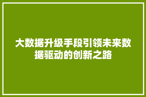 大数据升级手段引领未来数据驱动的创新之路