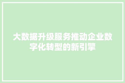 大数据升级服务推动企业数字化转型的新引擎