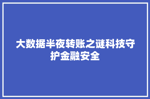 大数据半夜转账之谜科技守护金融安全
