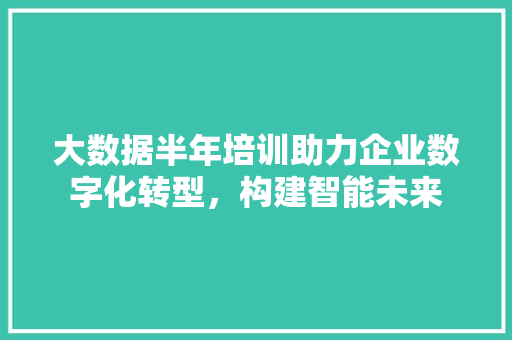 大数据半年培训助力企业数字化转型，构建智能未来
