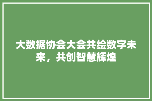 大数据协会大会共绘数字未来，共创智慧辉煌